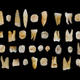 Image for article titled The First Humans Moved From Africa to China — Not Europe
